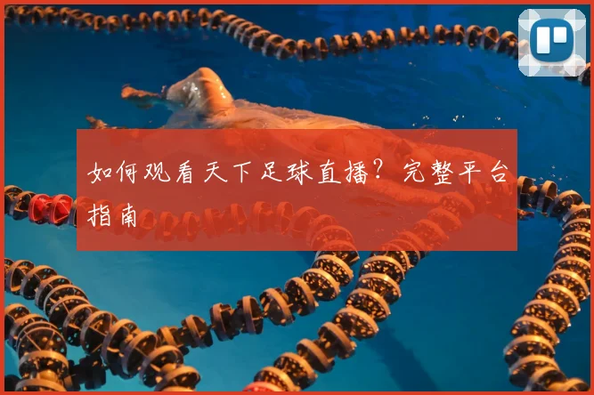 如何观看天下足球直播?完整平台指南