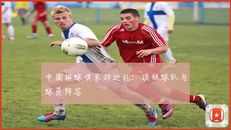 中国排球俱乐部巡礼：顶级球队与球员阵容
