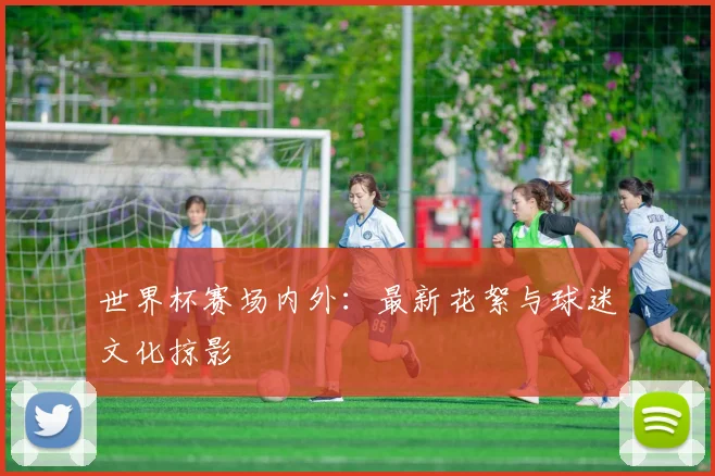 世界杯赛场内外：最新花絮与球迷文化掠影